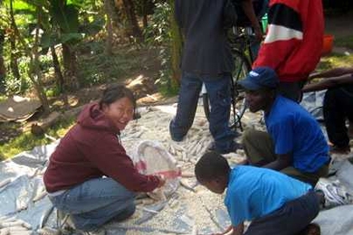 MIT senior Jodie Wu helps gather shelled corn after employing a new system she helped introduce in Tanzanian villages. The new device  for processing corn consists of a simple attachment to a bicycle.