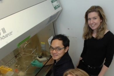 Chemistry graduate student Weerawat Runguphan, left, Sarah E. O'Connor, Latham Family Career Development Associate Professor of Chemistry, rear, and chemistry graduate student Peter Bernhardt, right, in lab where they genetically engineered periwinkle plant cells.