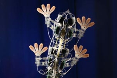 One project that received MITEI seed funds involves developing remote-controlled robots that can walk along deep-sea oil pipes and drilling facilities, performing critical inspection and maintenance tasks. Key to the design is a foot inspired by that of the gecko, which can stick to and traverse all kinds of surfaces. The project builds on previous work in which the researchers developed "Stickybo...