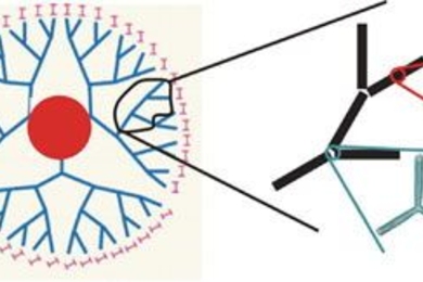 The figure illustrates a hierarchical network of carbon nanotubes mimicking a cell's protein network to connect a small heat source (red area) to a larger area that serves as a heat sink.