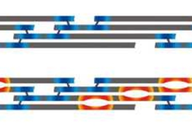 The image at top depicts a healthy collagen fibril. The image below it depicts a fibril with brittle bone disease displaying the small rifts (in orange) that form in collagen tissue at the sites where an incorrect amino acid has been substituted for glycine. These tiny rifts lead to the brittle tissue, broken bones and deformity characteristic of the disease.