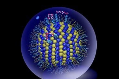 Snapshot of a simulation of a nanoparticle coated with a single layer of molecules (thin lines projecting from sphere) composed of a 1:1 mixture of hydrophobic (yellow) and hydrophilic (blue) ligands.