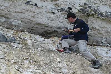 One of the paper's co-authors, Jens Wendler, chips away at a gray band in the cliffs at the Cretaceous-Paleogene Boundary (Fiskeler) at Kulstirenden, Stevns Klint, Denmark. This band represents the period of the mass extinction 65 million years ago and immediately afterwards, and is one of the thickest deposits in the world from that period.