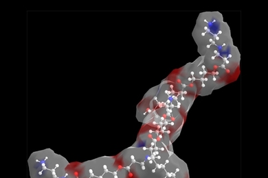 The structure of a portion of a biodegradable polymer used for gene delivery.