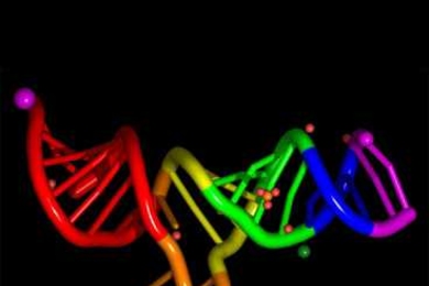 DNA with one strand misformed
