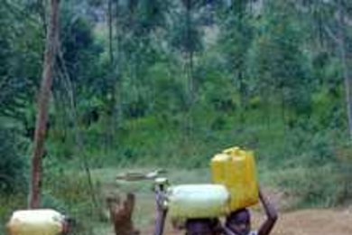 Children carrying jerrycans full of water