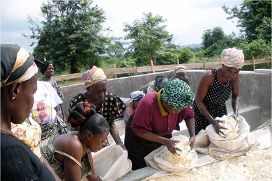 Women in Ghana work with cassava, which is cut, milled, pressed and dried (sometimes fermented first).