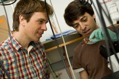 Physics Professor Alexander van Oudenaarden, left, works in his lab with physics graduate student Bernardo Pando.