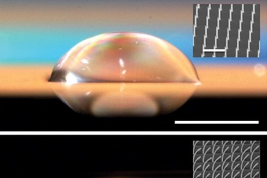 A symmetrical droplet (top) forms on a surface with straight nano-pillars, while on a surface with bent pillars (bottom) the droplet is asymmetrical, extending out only to the right. Inset images are micrographs of the surface structure.