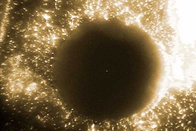 A tiny metal bead suspended in an electric field is just visible in the middle of a hole drilled through a circuit board. The hole itself is only the diameter of the wires used to connect circuit elements on the circuit board.