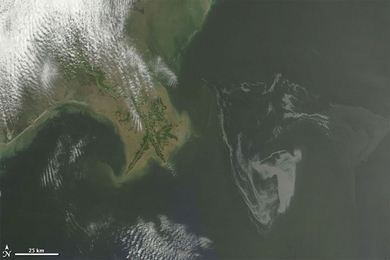 The oil slick as seen from space by NASA's Terra satellite on May 1.