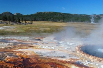 Microbial mats growing in hot spring-fed streams, like these here in Yellowstone National Park, offer insights into the evolution of life on early Earth. As mineral-laden water flow over the mat, silica crystals grow, and the mat eventually turns into stone. The lithified mat is an analogue of conical stromatolites that are found in sedimentary rocks that are billions of years old.