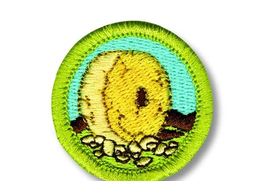Cover of the Inventing merit badge booklet