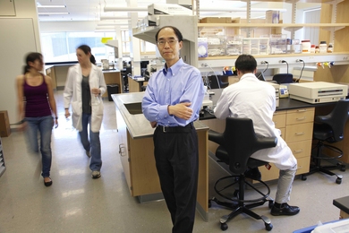 Many of Guoping Feng's lab members have joined him in moving to MIT, and the new lab at the McGovern Institute is already up and running.