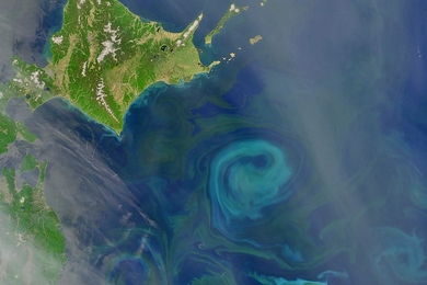 The swirls of color visible in the waters southeast of Japan's Hokkaido (island in upper left part of image) show where different kinds of phytoplankton are using chlorophyll and other pigments to capture sunlight and produce food. It turns out that phytoplankton affect how deeply sunlight is absorbed by the oceans, which affects how and where tropical cyclones form.