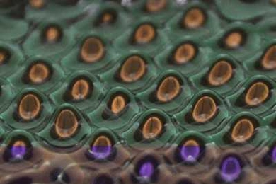 Vibrating a tray of silicone oil causes so-called Faraday waves to form in the oil's surface. Recent experiments in which fluid droplets reproduce the behavior of subatomic particles require holding the intensity of the vibrations just below the Faraday-wave threshold.