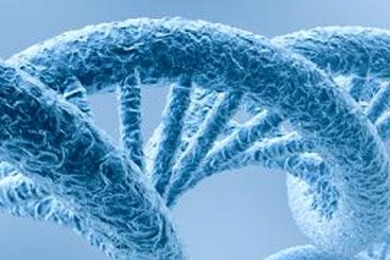 Books | The Mirage of a Space between Nature and Nurture; Eveylyn Fox Keller (Duke University Press)