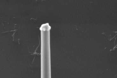This new technique for growing microwires can produce strands that are very long in relation to their diameter. The rounded “cap” at the wire’s top is a droplet of molten copper, while the wire itself is pure silicon.
