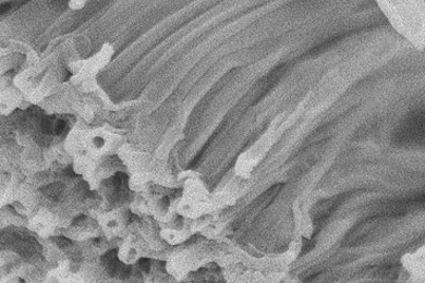 A scanning electron microscope image shows a bundle of 'microworms' produced using a vapor-deposition process developed by researchers at MIT and Northeastern.