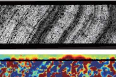 A slice of ferromanganese crust from the Pacific Ocean was analyzed using a SQUID microscope at Vanderbilt University. The top image shows a portion of the image of the slice taken with an electron microprobe. The second image shows the magnetized regions in the slice, with red areas showing one direction of magnetization and blue the opposite direction.