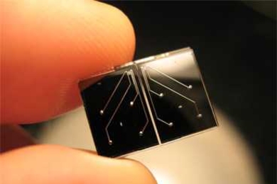 MIT researchers designed this tiny microfluidic chip that can measure the mass and density of single cells.