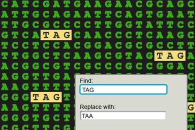 Find and replace window overlays sequence of letters as "TAG" is highlighted throughout.