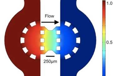 Color map showing the distribution of pressure across the gel region (between the two rows of semi-circular posts) containing the cancer cells. 