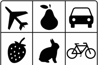 New research from MIT neuroscientists suggests how the brain learns which category an object belongs to — for example, fruits or animals. 