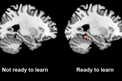 MIT neuroscientists showed that activity in a part of the brain called the parahippocampal cortex correlates with the brain’s preparedness to learn new information.