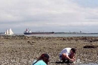 MIT Sea Grant Ocean Science Interns, Susanna Elledge and Dave Mathews, sampling at Spectacle Island.