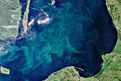 Body of water seen from space