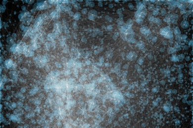 This graphic depicts the top 0.25 percent of the relationships that the researchers' techniques found in data on the concentration of microbes in the human gut.