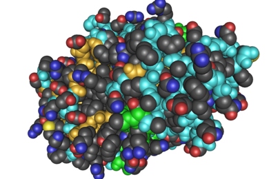 MIT researchers have developed a coating of thrombin, shown here, and tannic acid. After being sprayed onto a surface, the material can halt bleeding within seconds