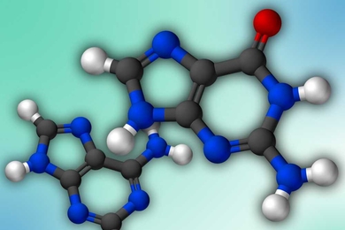 The molecular structure of guanine (foreground) and adenine are shown.