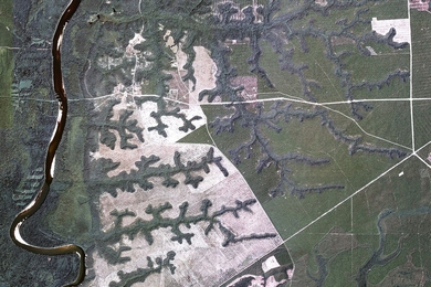 Aerial image of valley networks eroded by groundwater sapping into a sand plateau east of the Apalachicola River, near Bristol, Fla. Image is approximately 11 km wide. 
