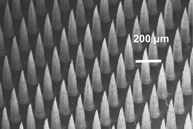 Many of the MEMS developed by principal research scientist Luis Fernando Velásquez-García — from thrusters for tiny satellites to systems for spinning out flexible functional materials — involve dense arrays of tiny semiconductor tips, like those shown here.