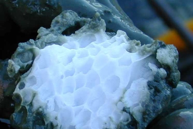 A block of a gas hydrate (methane clathrate) recovered from seafloor sediments off the Oregon coast.