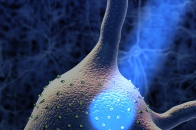 Optogenetics is a technology in which neurons are genetically engineered to respond to light.