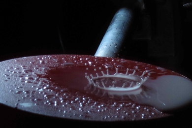 Milk drop crowning on a red disc.
