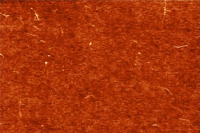 An atomic-force microscope image of a layer of single-walled carbon nanotubes deposited on a silicon surface, as the first step in manufacturing the new type of solar cell developed by an MIT team. Individual nanotubes can be seen in the image.