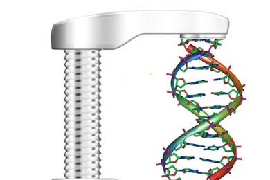 DNA strand in metal compression device