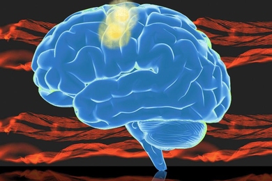 This graphic shows the brain, with the motor cortex highlighted in yellow.