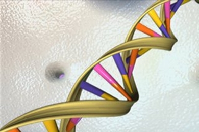 An illustration showing the double helix structure of DNA.