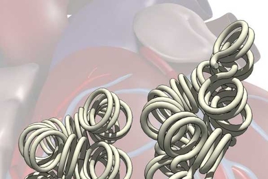 By studying modifications to chromatin — the structure DNA forms when bound to histone proteins — MIT biologists identified genetic regions that regulate heart cell development.