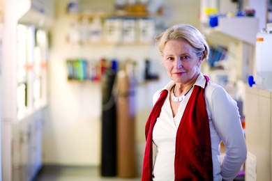 Martha Constantine-Paton has been awarded the Society for Neuroscience's Mika Salpeter Lifetime Achievement Award.