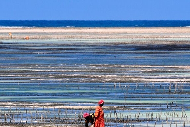 Farmers in Zanzibar, Tanzania