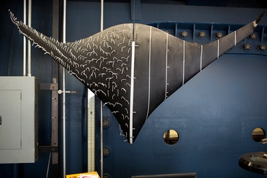 Model aircraft hang on the walls in the workroom outside the Wright Brothers Wind Tunnel.