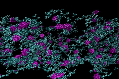 This diagram of the molecular structure of one of the artificially produced versions of spider silk depicts one that turned out to form strong, well-linked fibers. A different structure, made using a variation of the same methods, was not able to form into the long fibers needed to make it useful. Musical compositions based on the two structures helped to show how they differed.