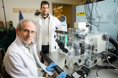 Professor Roger Kamm, left, and PhD candidate Ioannis Zervantonakis