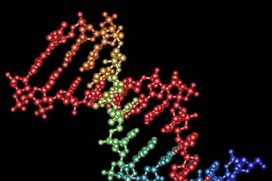 A new technique developed at MIT can edit DNA in precise locations.